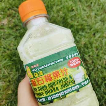 阿顺哥番石榴 /活力配套