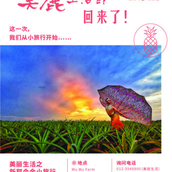 美丽生活节 新邦令金小旅行【已关闭报名，谢谢支持!】