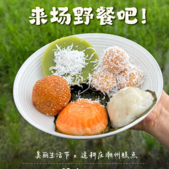 2026美丽生活节 “一起来野餐！”
